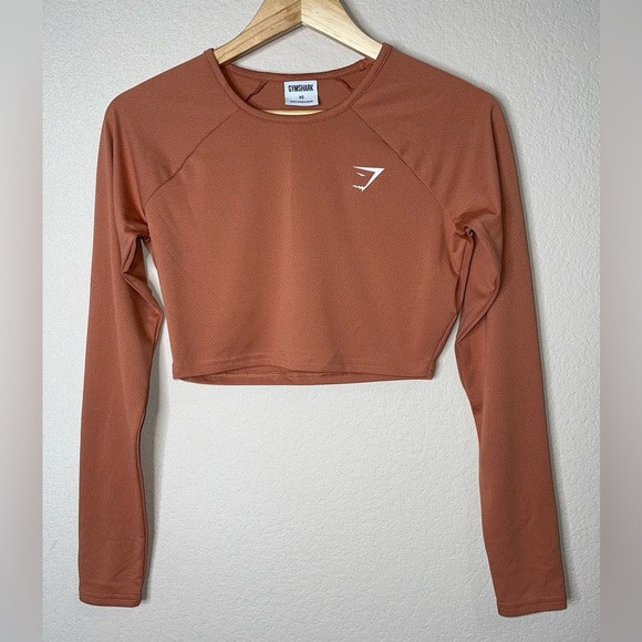 GYMSHARK TRAINING LONG SLEEVE CROP TOP SIZE XS TOFFEE BROWN RUST - Picture 3 of 6